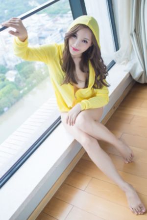 孔雀圣使请动心电视剧免费观看