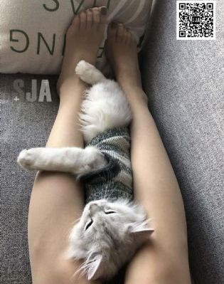 贵州旅游自由行攻略