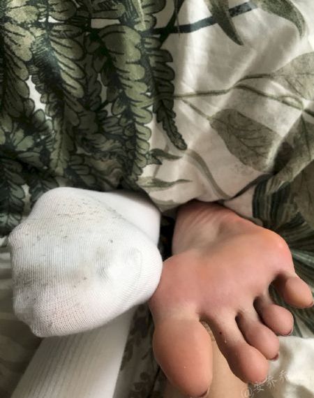章鱼游戏2