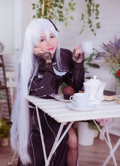 十二生肖
