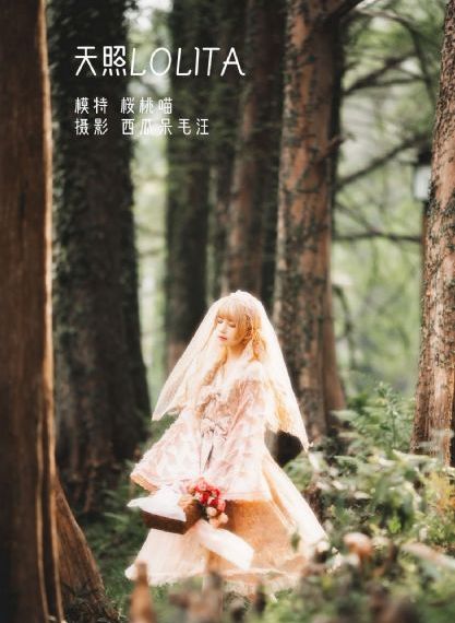 白百何演过的电视剧
