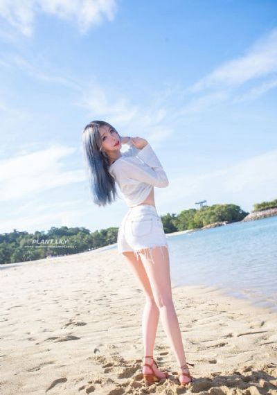 白莲花度假村第一季