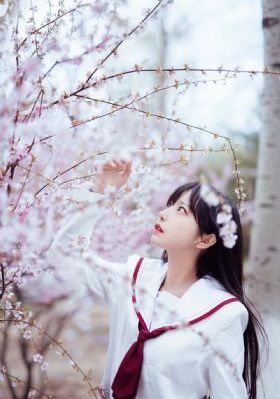 秋霞电影在线观看